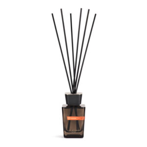 Aramaik-Diffusore-Skyline